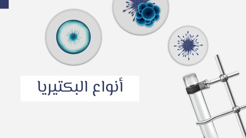 أهمية البكتيريا