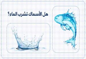 Read more about the article هل الأسماك تشرب الماء مثل الكائنات الحية الأخرى؟