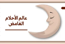 كل ما تريد معرفته عن الأحلام