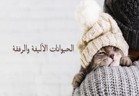 فوائد الحيوانات الأليفة للصحة النفسية
