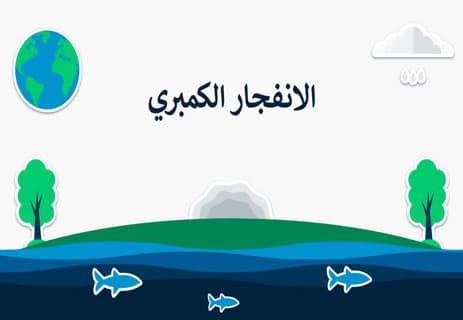 التنوع في العصر الكمبري