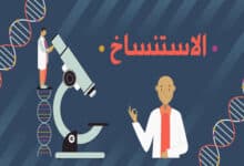 الاستنساخ