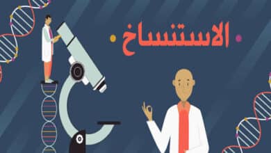 الاستنساخ