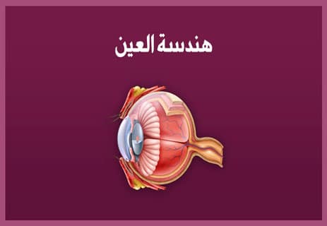 مكونات العين البشرية