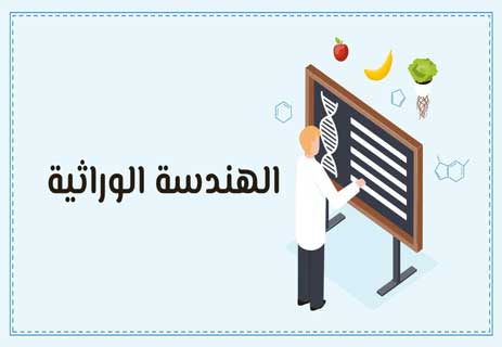 الأغذية المعدلة وراثيًا: طعام المستقبل أم قنابل صامتة؟ 10 الهندسة الوراثية