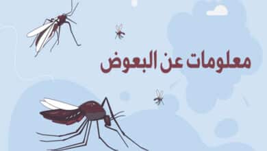 البعوض