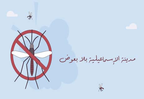 البعوض: ماذا تعرف عن أخطر أعداء البشرية؟ 12 معلومات عن البعوض