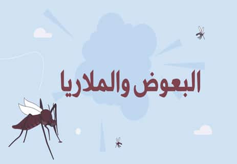 البعوض: ماذا تعرف عن أخطر أعداء البشرية؟ 11 نوع البعوض الناقل للملاريا