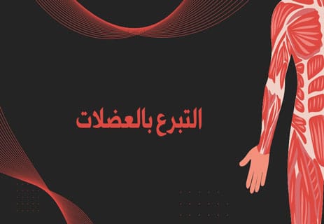 التبرع بالأعضاء: كم عدد الأرواح التي يمكنك إنقاذها؟ 11 التبرع بالأعضاء