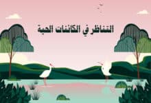 التناظر في الكائنات الحية
