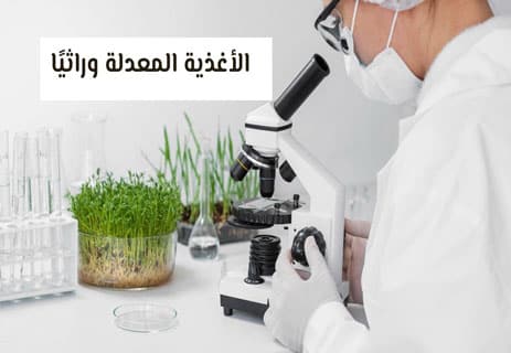 الأغذية المعدلة وراثيًا: طعام المستقبل أم قنابل صامتة؟ 11 بحث حول الأغذية المعدلة وراثيًا