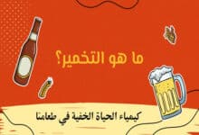 ما هو التخمير؟
