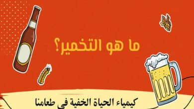 ما هو التخمير؟