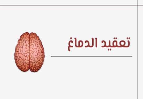الدماغ البشري: رحلة داخل أعقد جهاز في الكون 13 وظائف الدماغ البشري