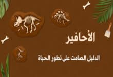 الأحافير