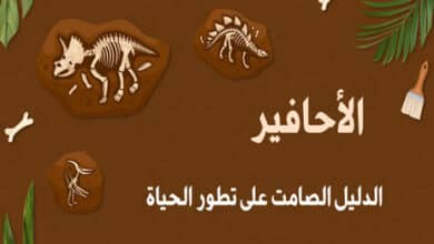 الأحافير