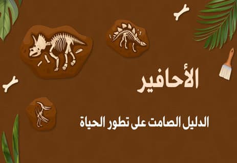 الأحافير