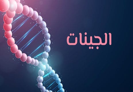 التكاثر الجنسي: نقطة التحول الكبرى في تاريخ الحياة 10 الفرق بين التكاثر الجنسي واللاجنسي
