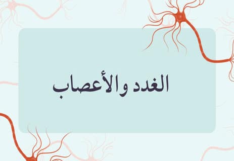 التبرع بالأعضاء: كم عدد الأرواح التي يمكنك إنقاذها؟ 12 كيف يتم التبرع بالأعضاء