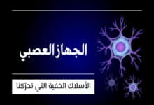 الجهاز العصبي