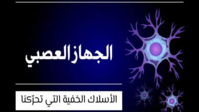 الجهاز العصبي