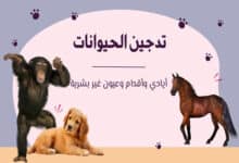 تدجين الحيوانات