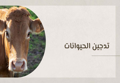 الطعام الطبيعي: وهم الغذاء العضوي 12 تدجين الحيوانات