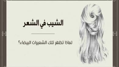 الشيب في الشعر