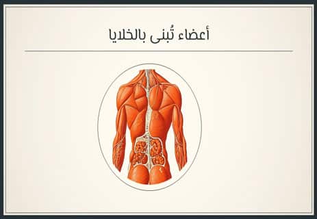 الطب التجديدي