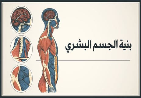 العمالقة في التاريخ: ظل الخرافة في مرآة العلم 12 العمالقة في التاريخ