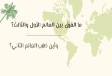 الفرق بين العالم الأول والثاني والثالث: ولماذا اختفى مصطلح العالم الثاني؟ 33 الفرق بين العالم الأول والثاني والثالث