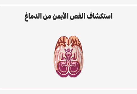 الرجل الذي حسب زوجته قبعة: عقول تائهة 10 علم الأعصاب