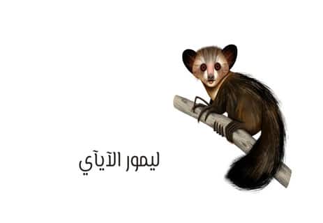 معلومات عن الليمور: أشباح مدغشقر المنسية 11 أنواع الليمور