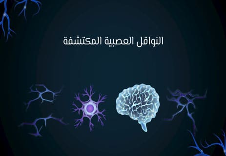 النواقل العصبية: كيف يتحكم الدماغ في كل شيء؟ 12 النواقل العصبية في الدماغ