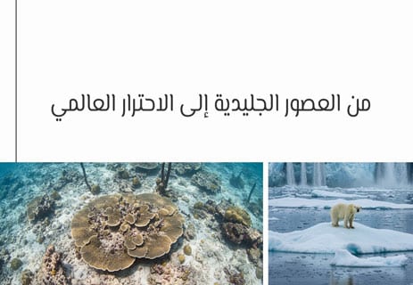 درجة حرارة الأرض: رحلة المناخ عبر ملايين السنين 12 العصور الجليدية