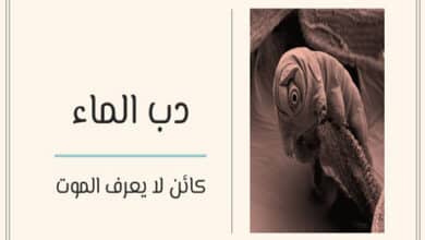 دب الماء: كائن لا يعرف الموت 32 دب الماء