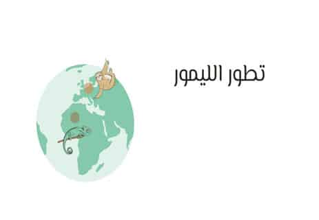 معلومات عن الليمور: أشباح مدغشقر المنسية 10 أين يعيش الليمور