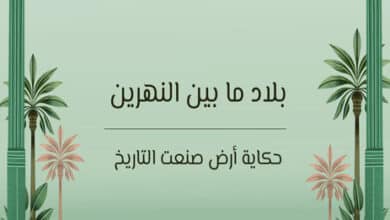بلاد ما بين النهرين
