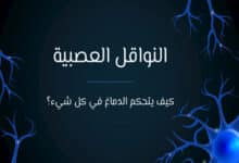 النواقل العصبية