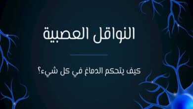 النواقل العصبية