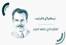 نيكولاي فافيليف