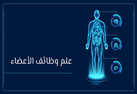 النواقل العصبية: كيف يتحكم الدماغ في كل شيء؟ 10 ما هو دور النواقل العصبية
