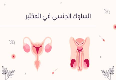 التكاثر الجنسي