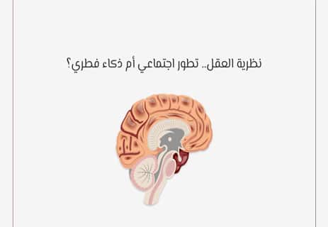 نظرية العقل: كيف نرى ما لا يُقال؟ 12 نظرية العقل