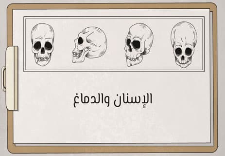 تطور الإنسان: ثمن الذكاء.. ولعنة الجسد؟ 10 تطور الإنسان