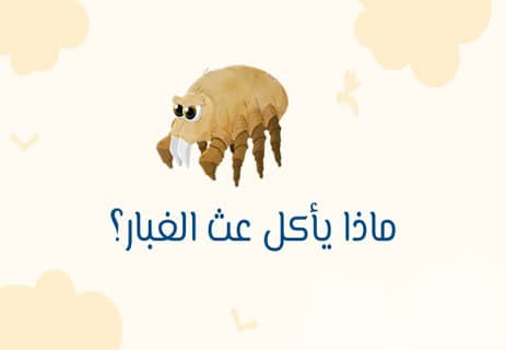 عث الغبار: الكائن الذي يعيش في فراشك دون أن تراه 10 عث الغبار والحساسية