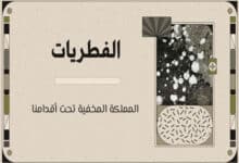 مملكة الفطريات
