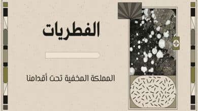 مملكة الفطريات