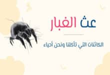 عث الغبار: الكائن الذي ينام معك ويسكن فراشك دون أن تراه 32 عث الغبار