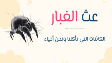 عث الغبار